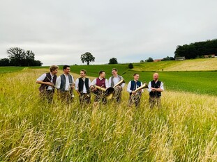 Blechnarrisch 02
